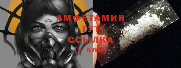 индика Семикаракорск
