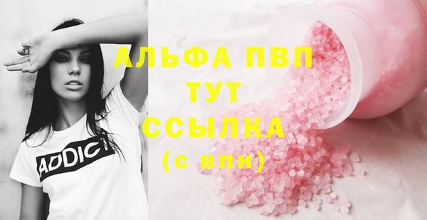 индика Лабытнанги