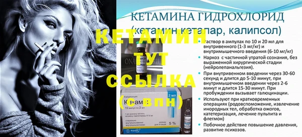 индика Лабытнанги