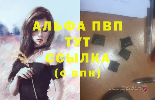 индика Лабытнанги