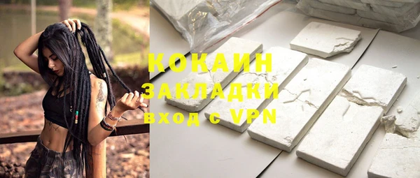 индика Лабытнанги