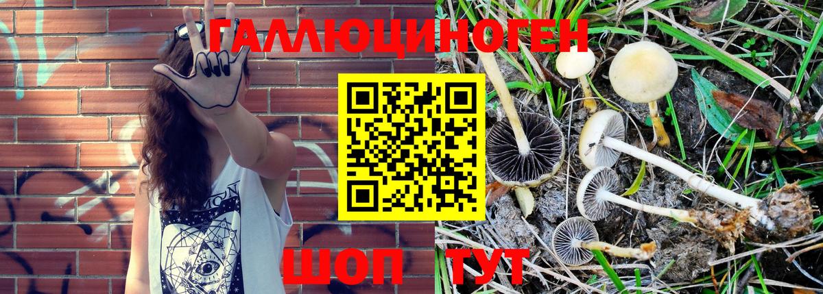 Галлюциногенные грибы мухоморы  Бердск 