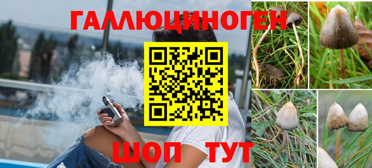 Бердск  Псилоцибиновые грибы GOLDEN TEACHER  Галлюциногенные грибы GOLDEN TEACHER  Вход с VPN 