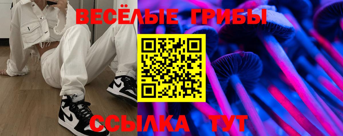 Галлюциногенные грибы Psilocybine cubensis Бердск