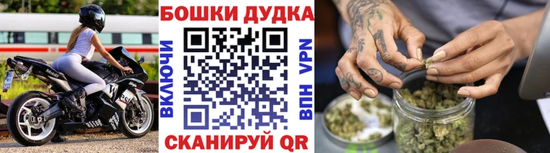 где продают наркотики  Бердск  Марихуана гибрид 